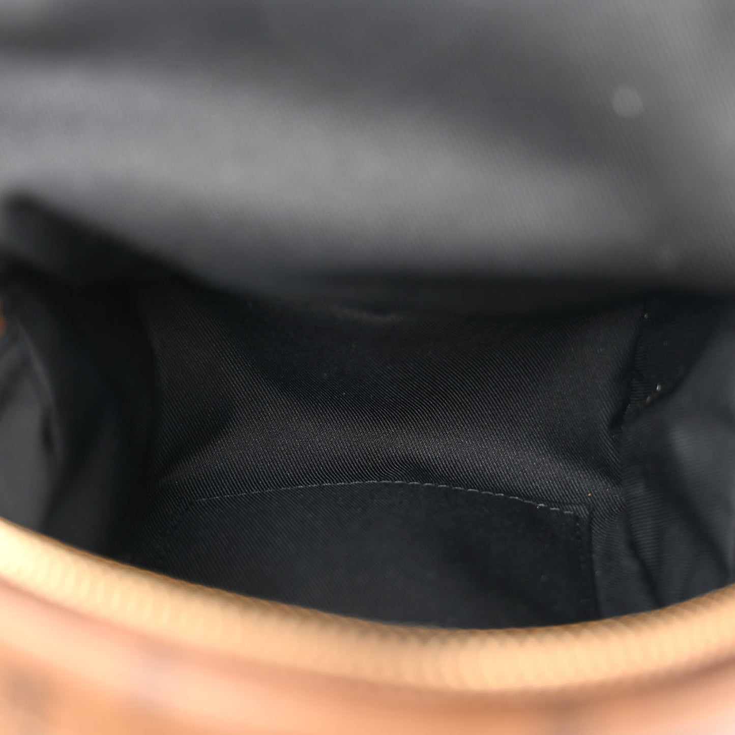 Reverse Monogram Palm Springs Backpack Mini