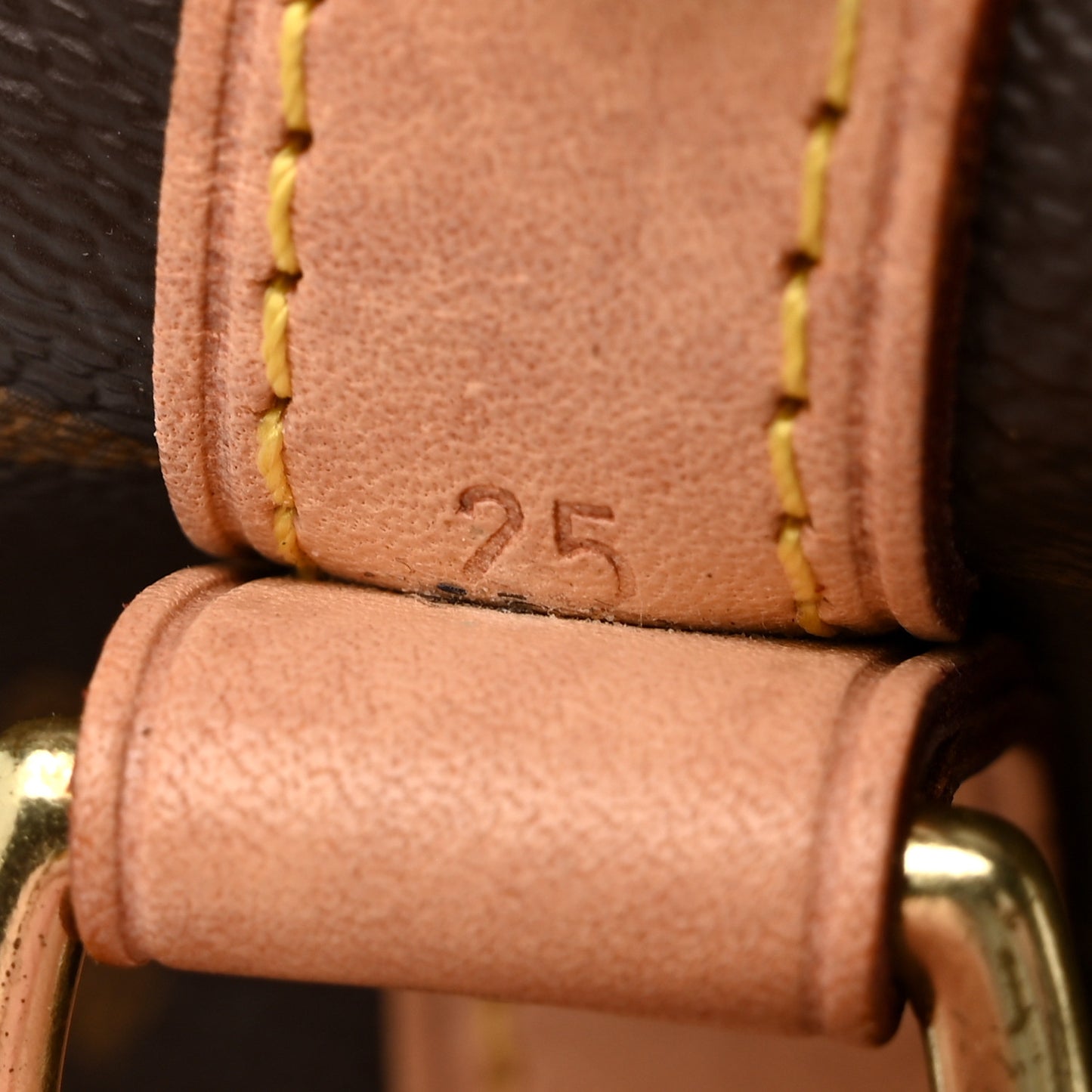 Monogram Speedy Bandouliere 25
