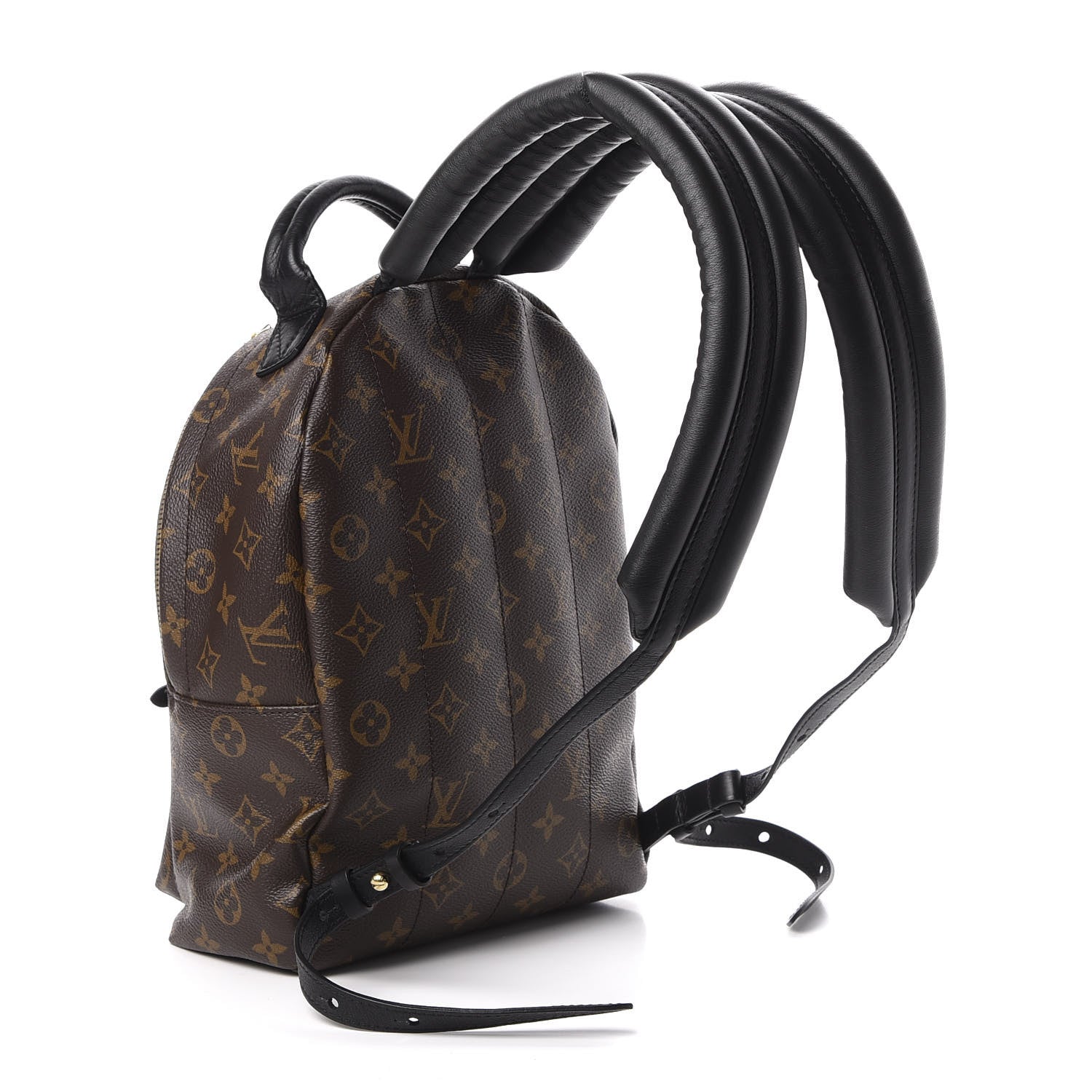 Louis Vuitton Monogram Palm Springs Backpack PM 2 of 10