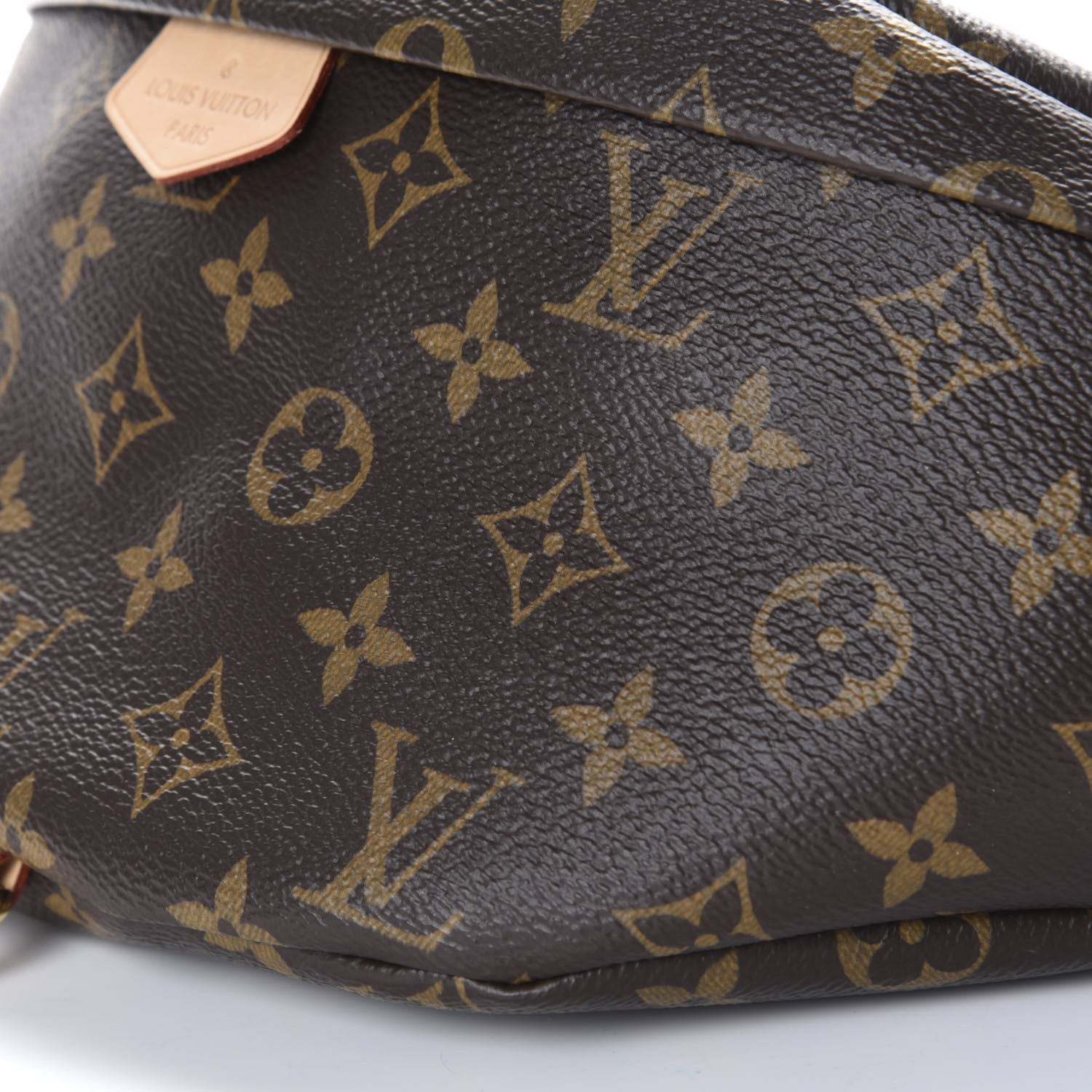 Louis Vuitton Monogram Bumbag 7 of 10