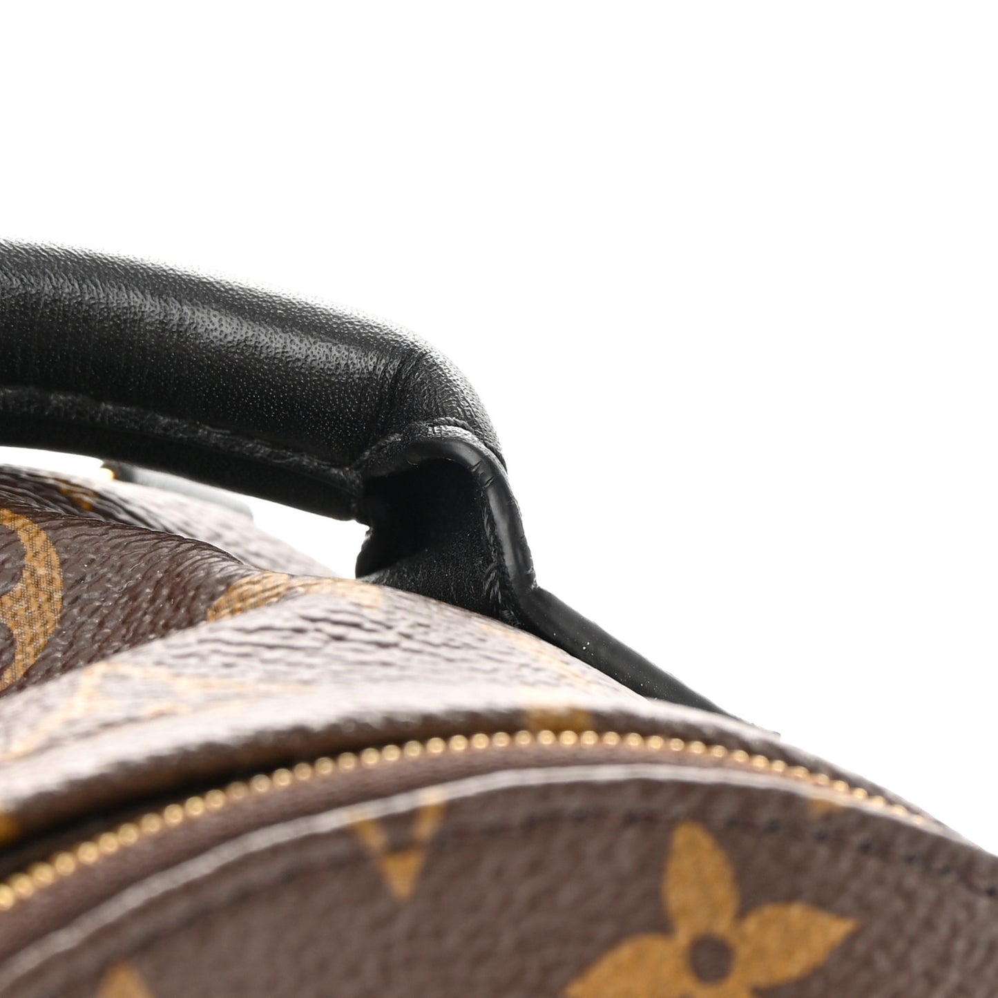 Monogram Palm Springs Backpack Mini