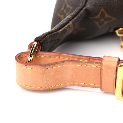 Louis Vuitton Monogram Bumbag 11 of 17