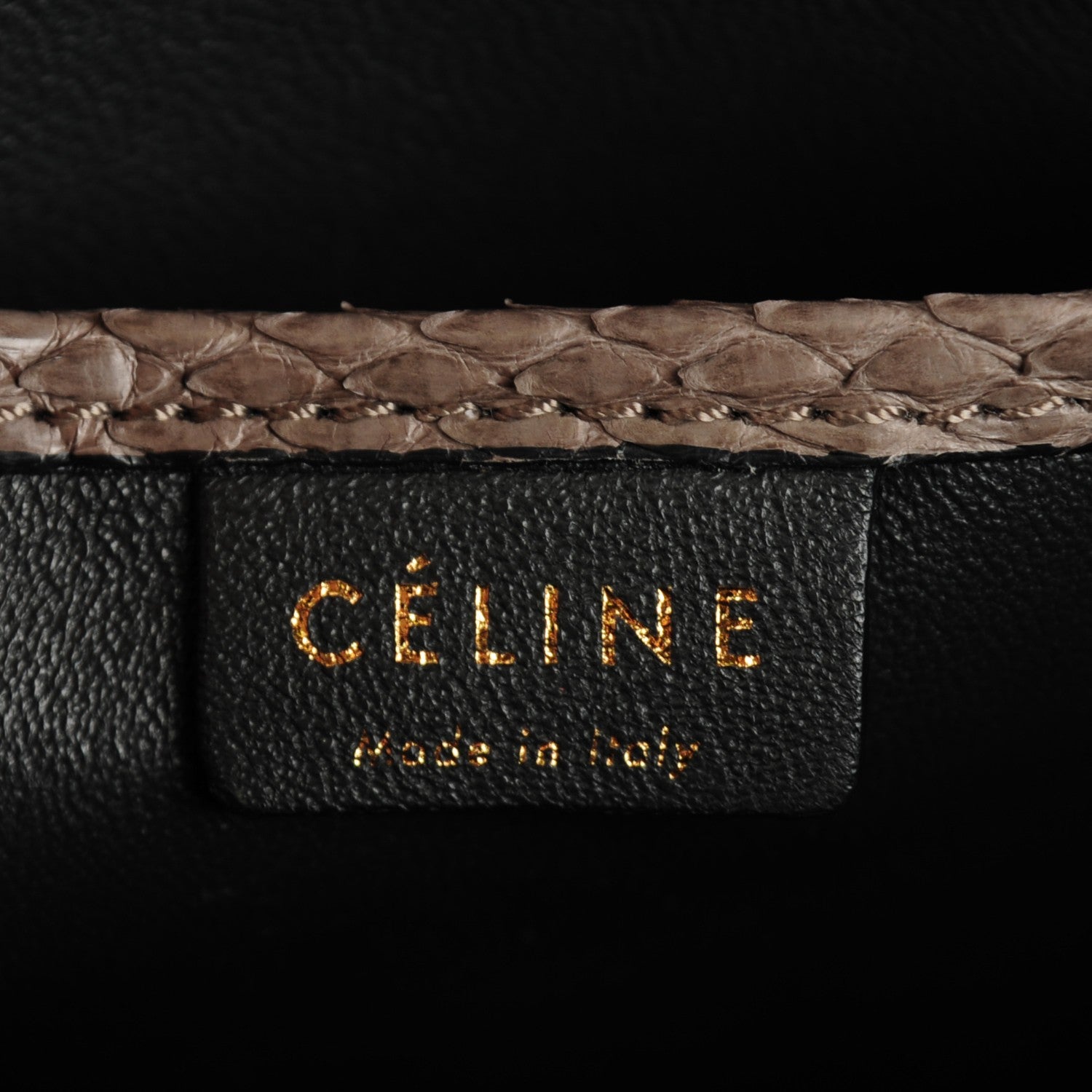 Celine Python Nano Luggage Grey 6 of 12