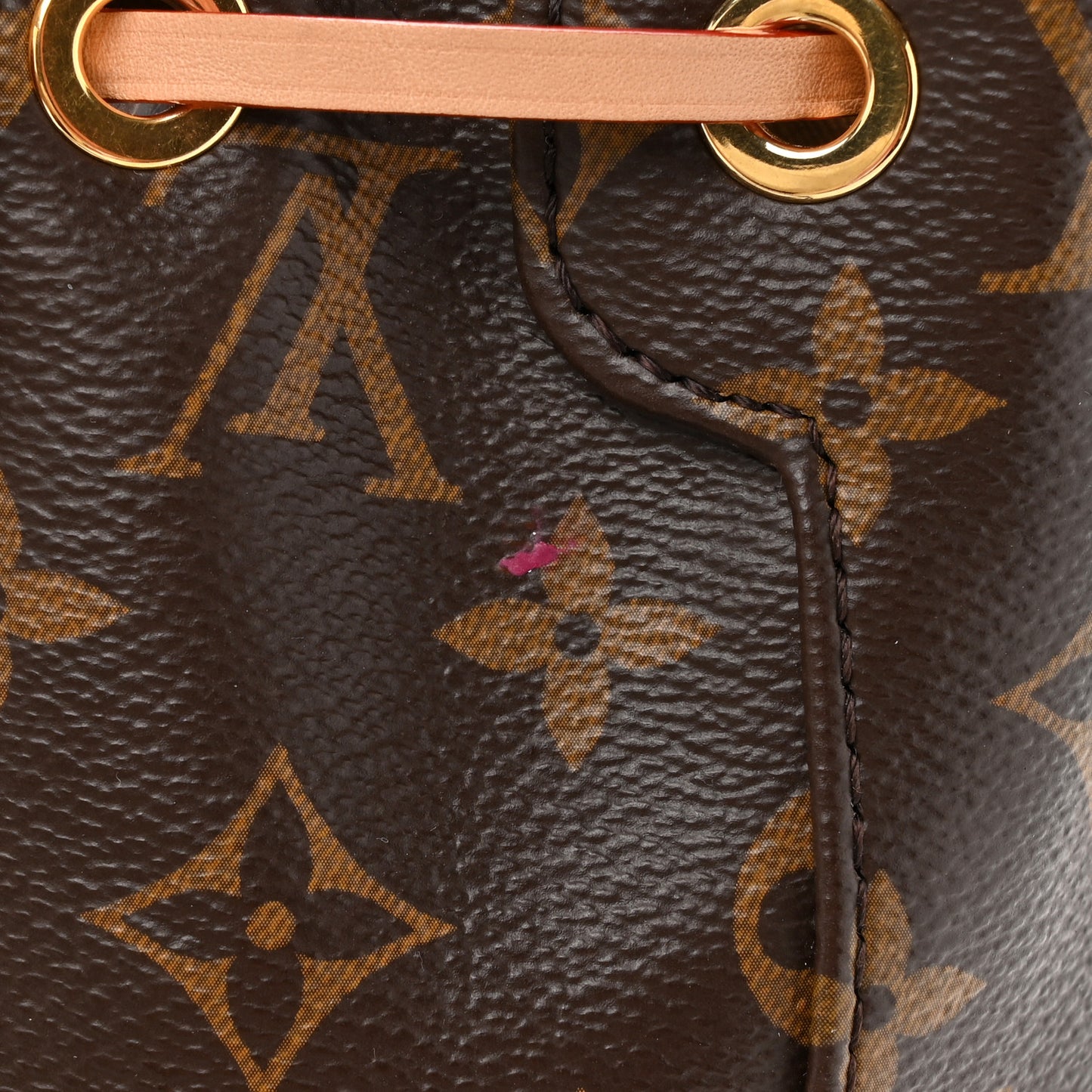 Monogram Excursion PM Backpack