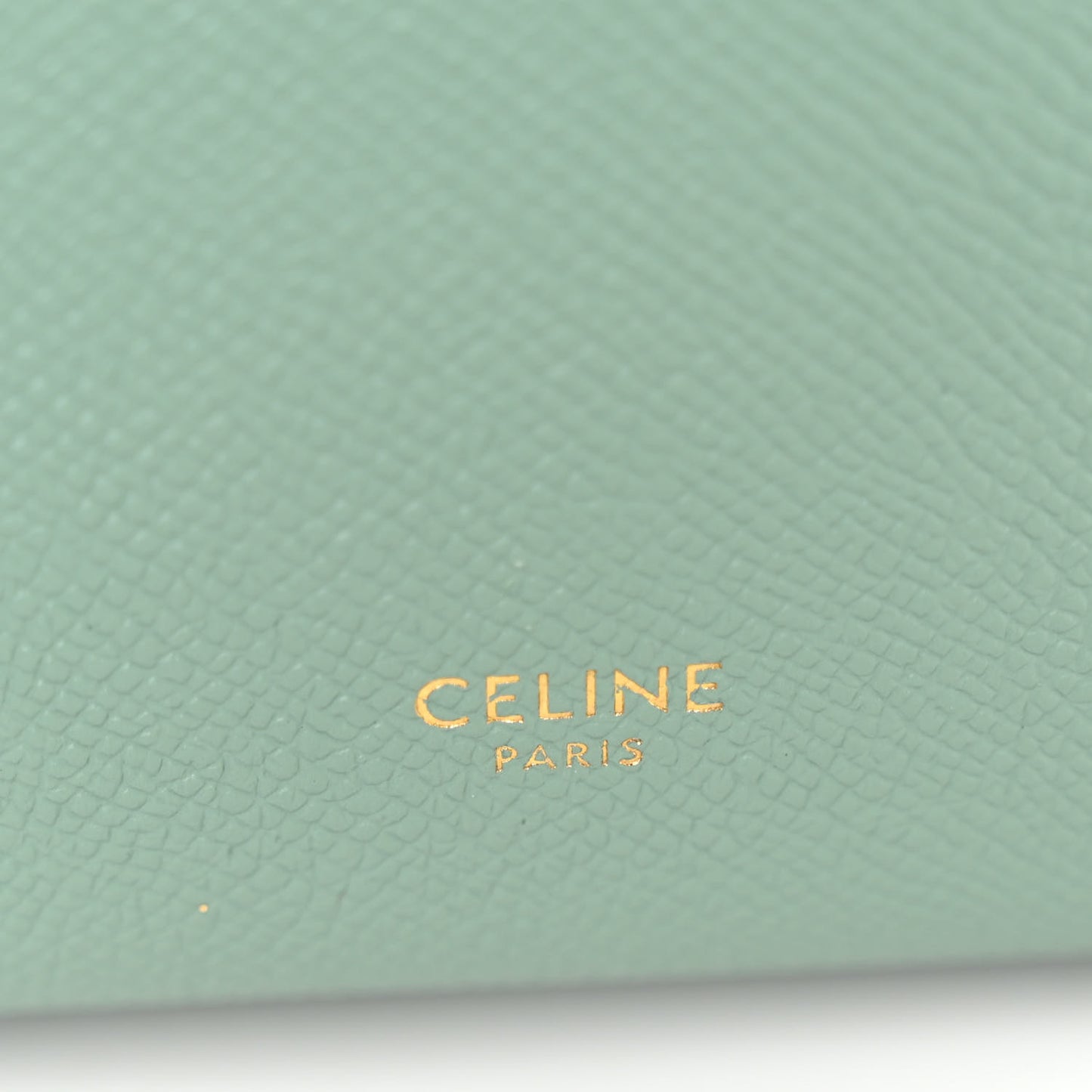 Grained Calfskin Nano Belt Bag Celadon