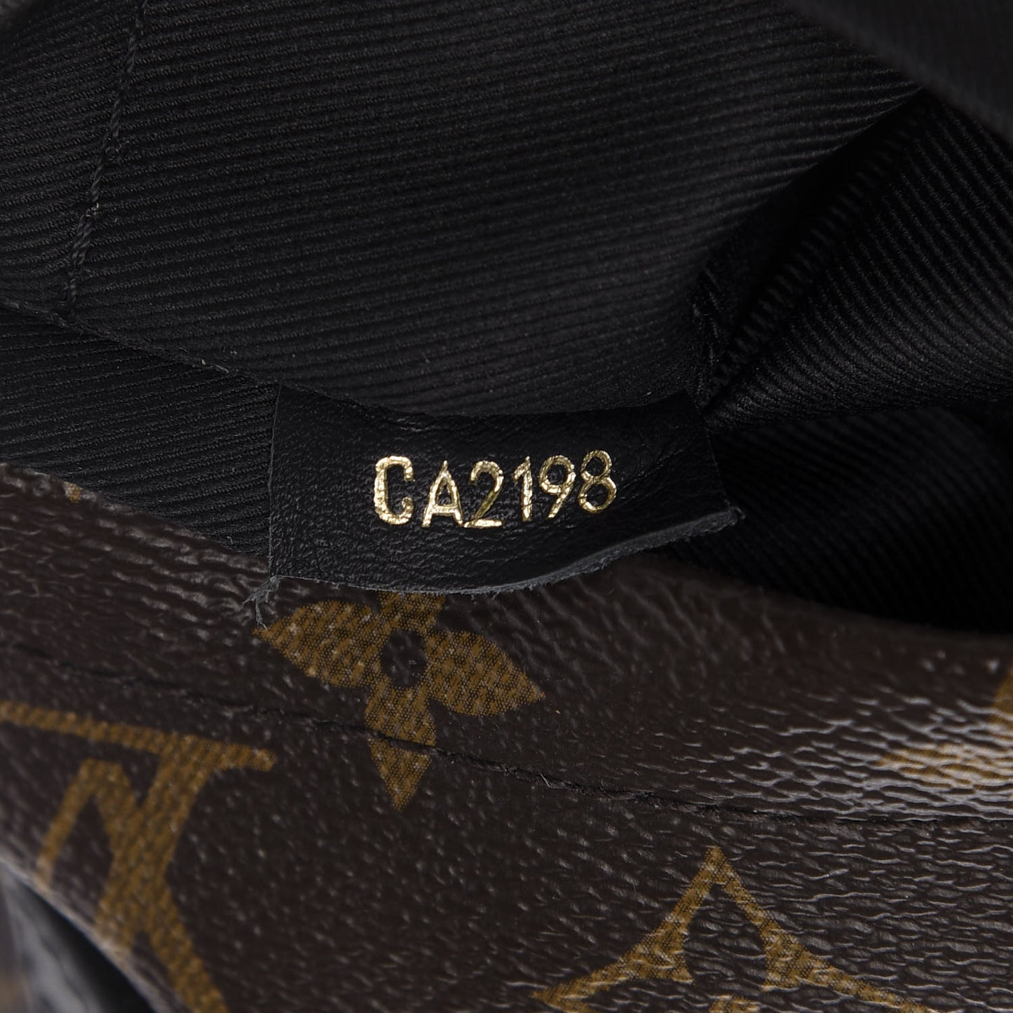Monogram Palm Springs Backpack Mini