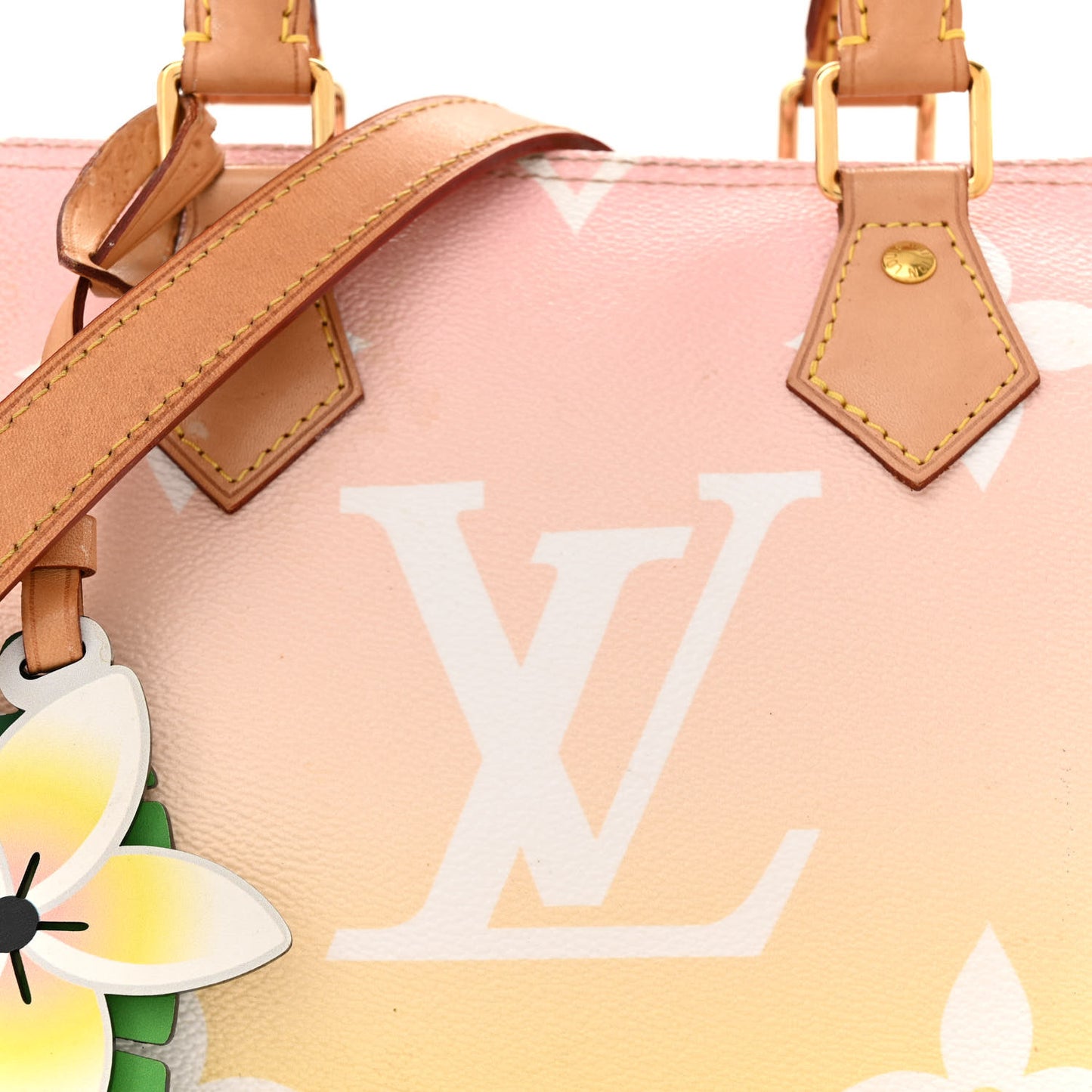 Monogram Giant By The Pool Speedy Bandouliere 25 Light Pink