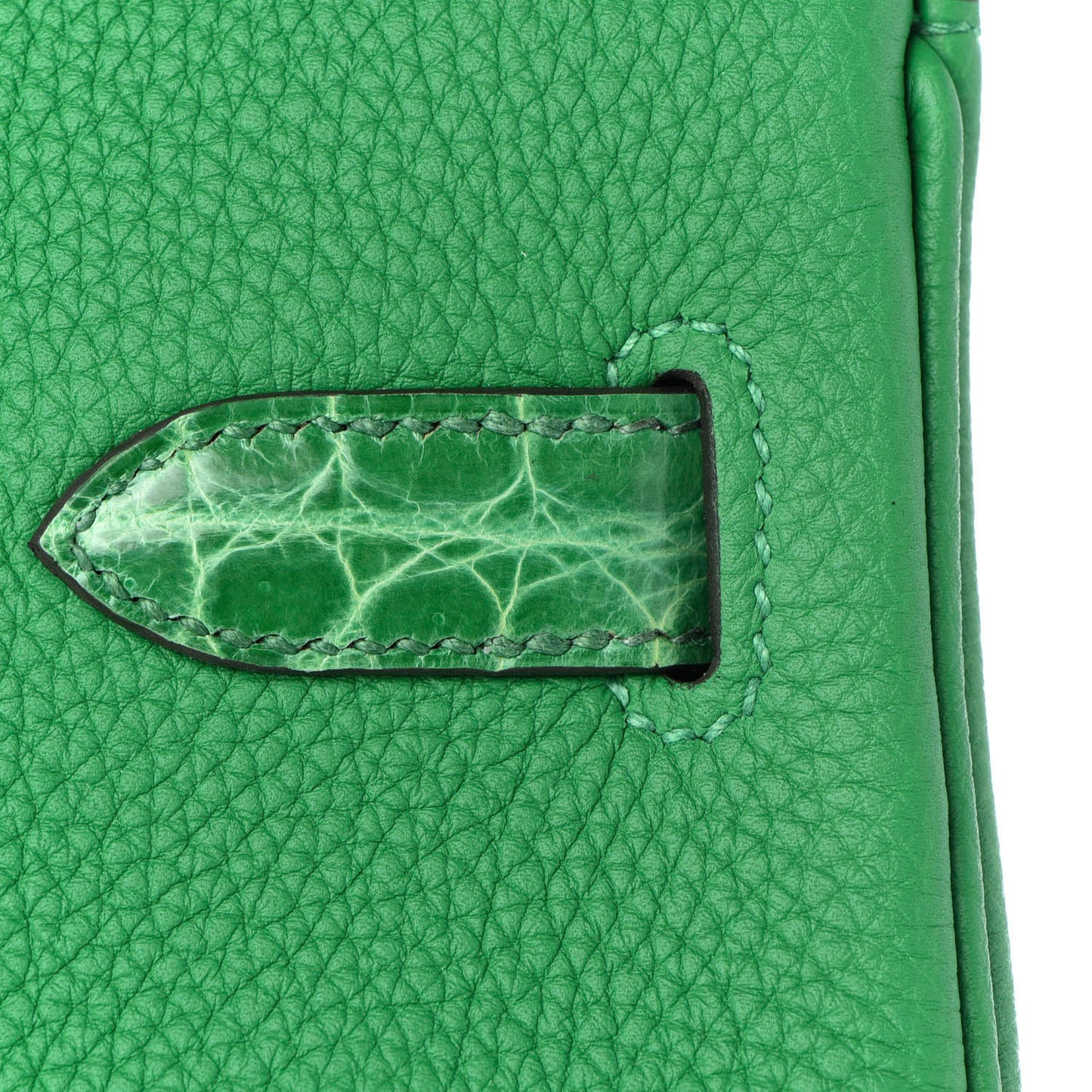Togo Shiny Niloticus Crocodile Birkin Touch 30 Bamboo Cactus