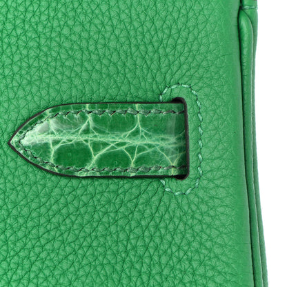 Hermes Togo Shiny Niloticus Crocodile Birkin Touch 30 Bamboo Cactus 9 of 34