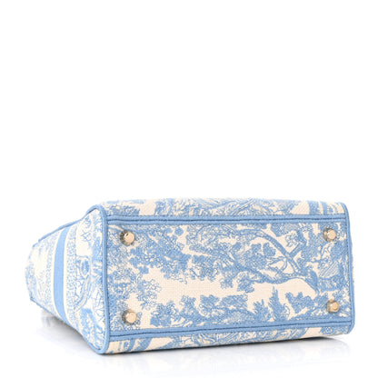 Christian Dior Canvas Toile De Jouy Embroidered Medium Lady D-Lite Blue 4 of 9