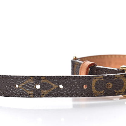 Louis Vuitton Monogram Baxter Dog Collar PM 3 of 6