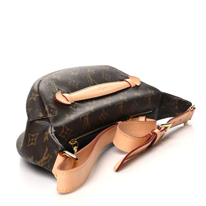 Louis Vuitton Monogram Bumbag 3 of 10