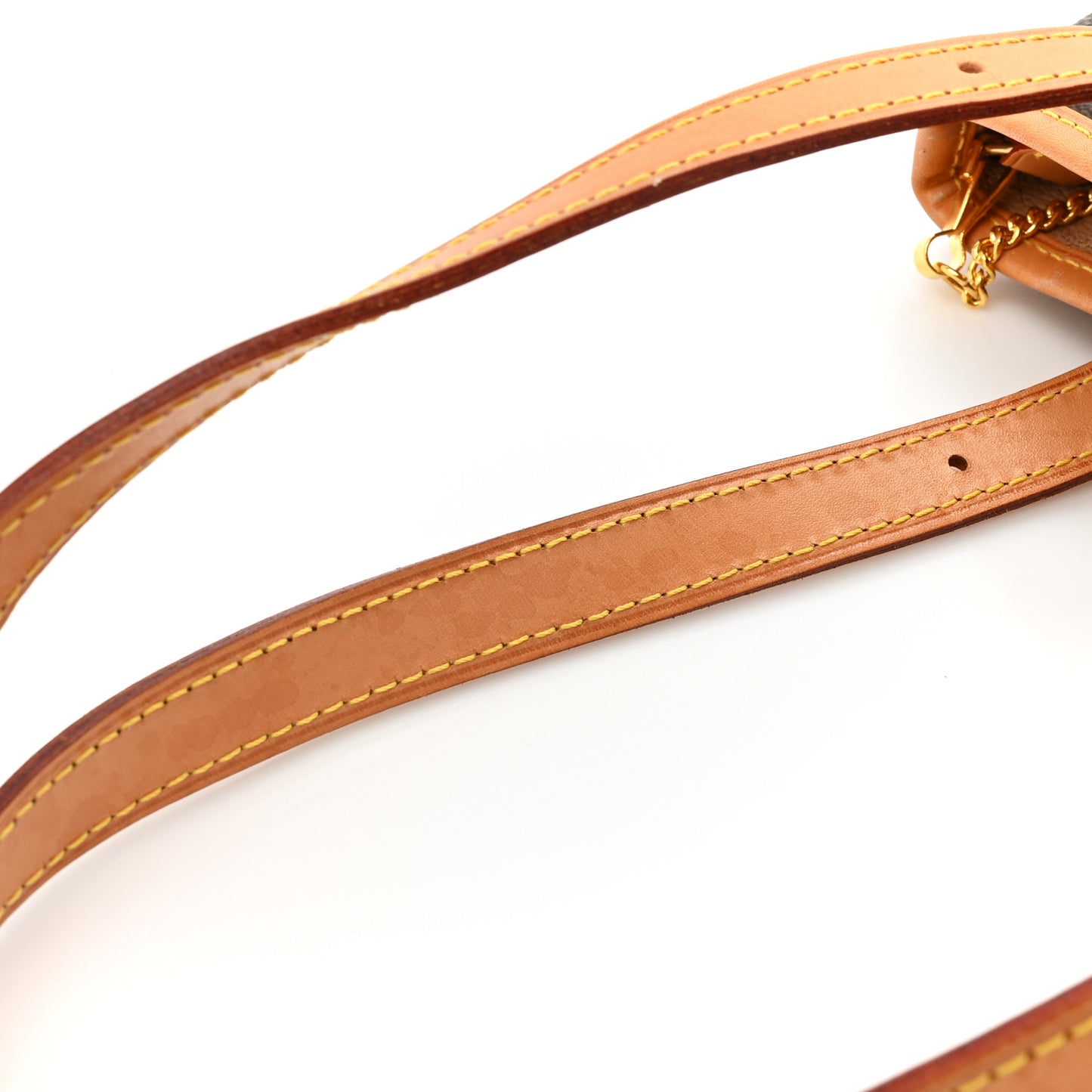 Monogram Petit Bucket 23