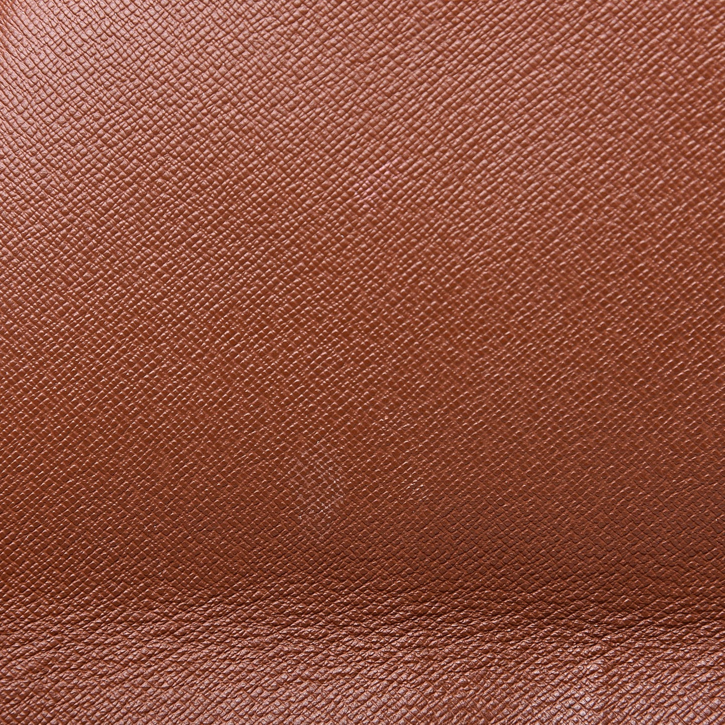 Monogram Musette Tango