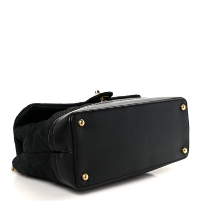 Chanel Iridescent Grained Calfskin Medium Globe Trotter Flap Black 4 of 11