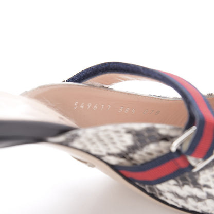 Gucci Elaphe Snakeskin Sylvie Web Cross Strap Mid-Heel Slides 38.5 New Roccia 5 of 10