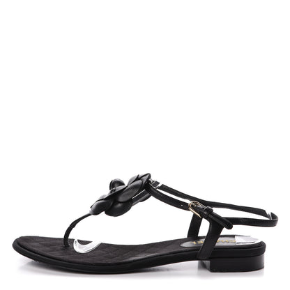 Chanel Lambskin Camellia Thong Sandals 38.5 Black 1 of 18