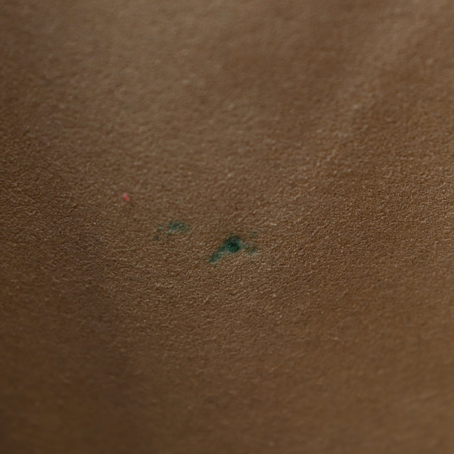 Monogram Galliera PM