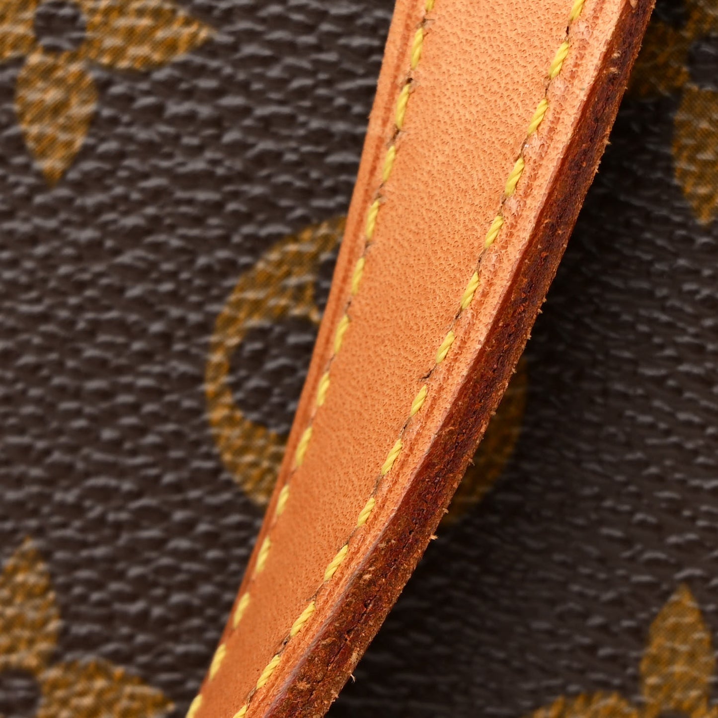 Monogram Vavin PM