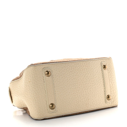 Louis Vuitton Mini Lin Trapeze PM Camel 3 of 10