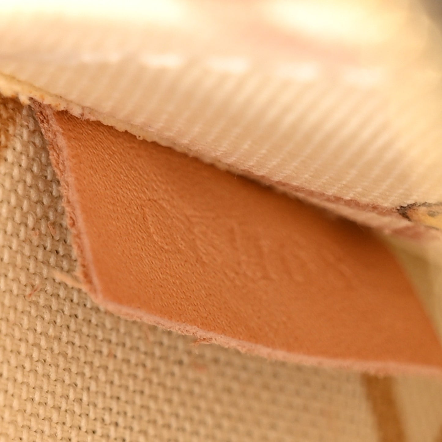 Monogram Summer Trunks Neo Neverfull MM