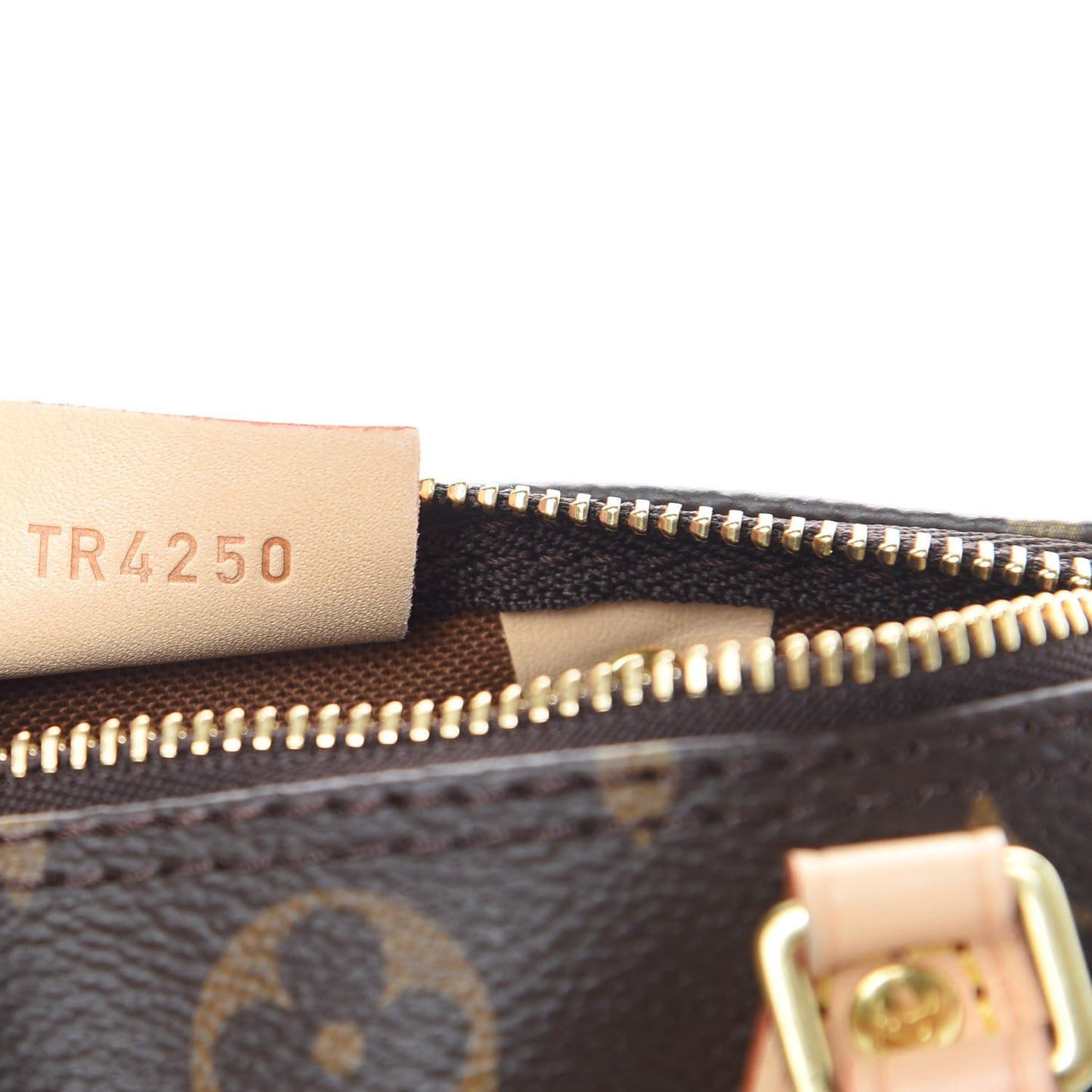 Monogram Nano Speedy