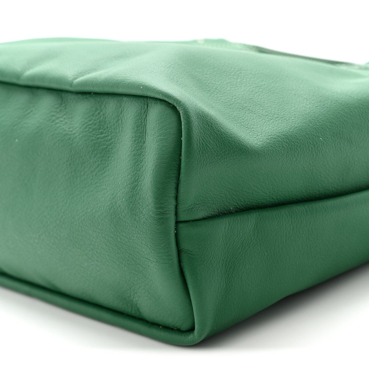 Goyard Goyardine Reversible Mini Anjou Green 18 of 19