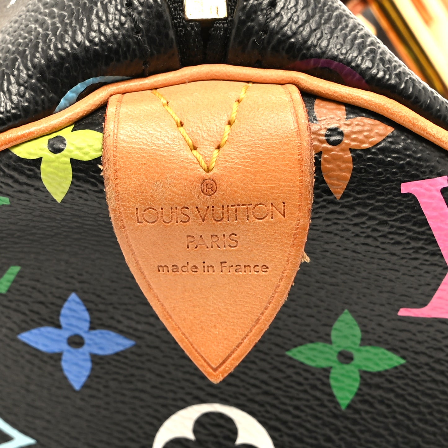 Monogram Multicolor Speedy 30 Black