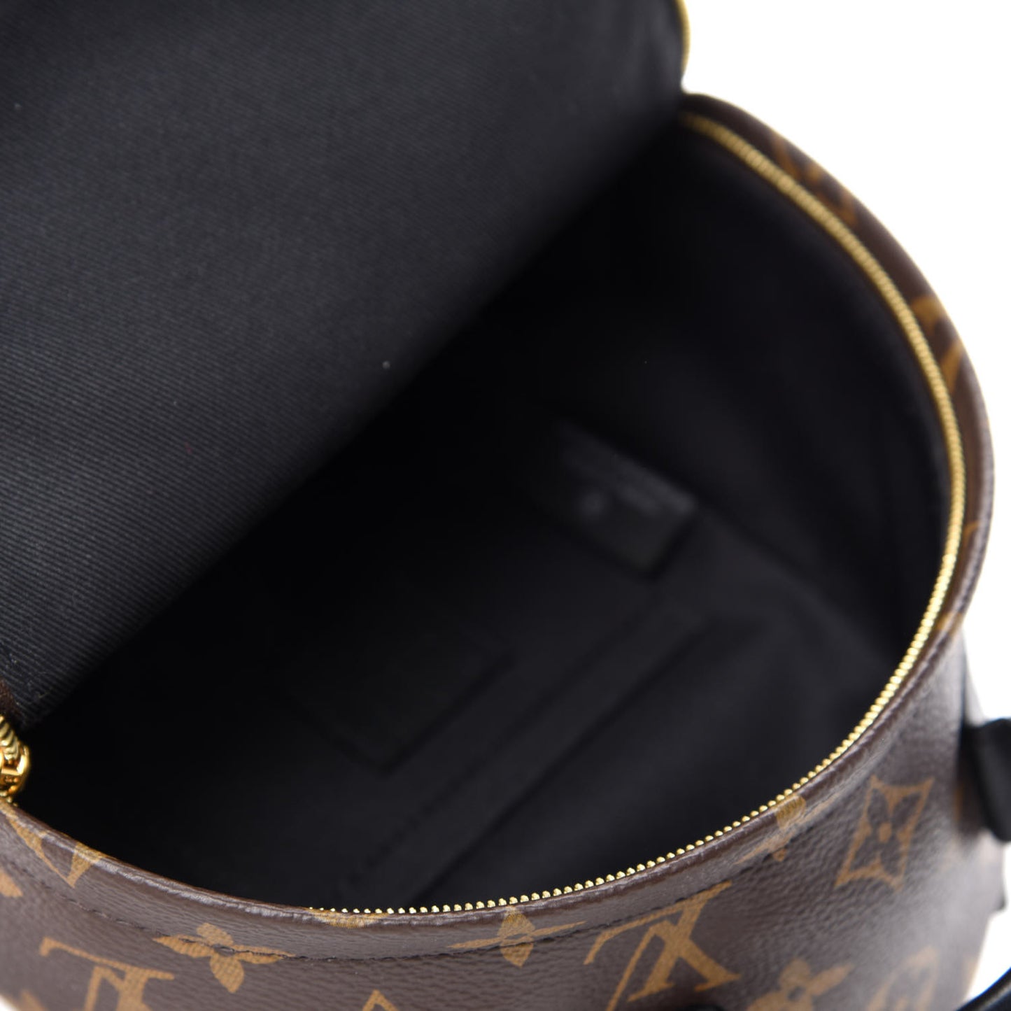 Monogram Palm Springs Backpack Mini