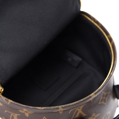 Louis Vuitton Monogram Palm Springs Backpack Mini 4 of 11