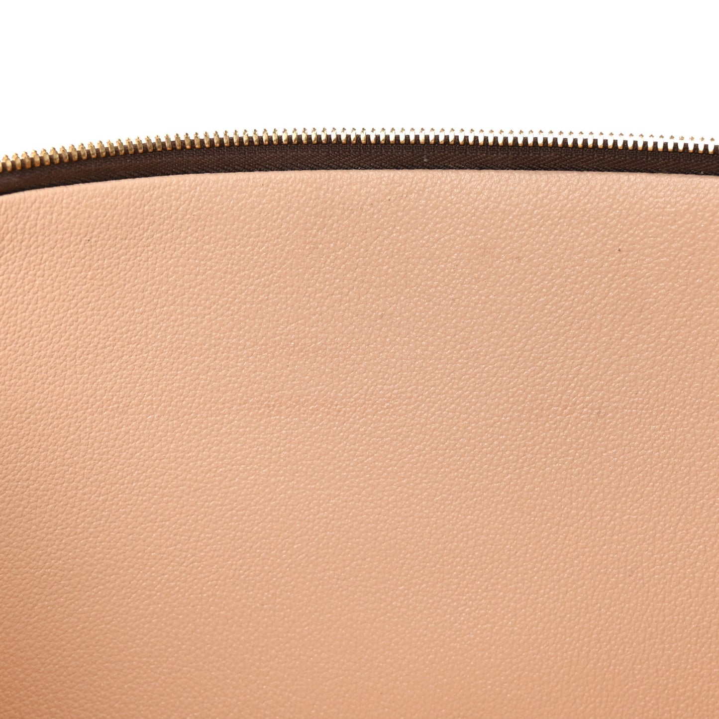 LOUIS VUITTON Monogram Nice