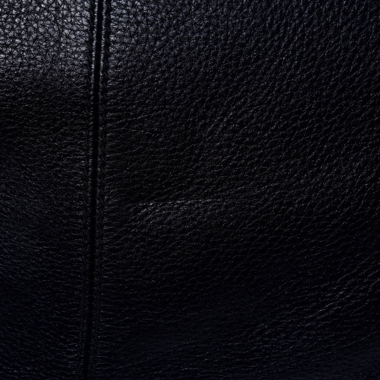 Pebbled Calfskin Medium Jungle Hobo Black