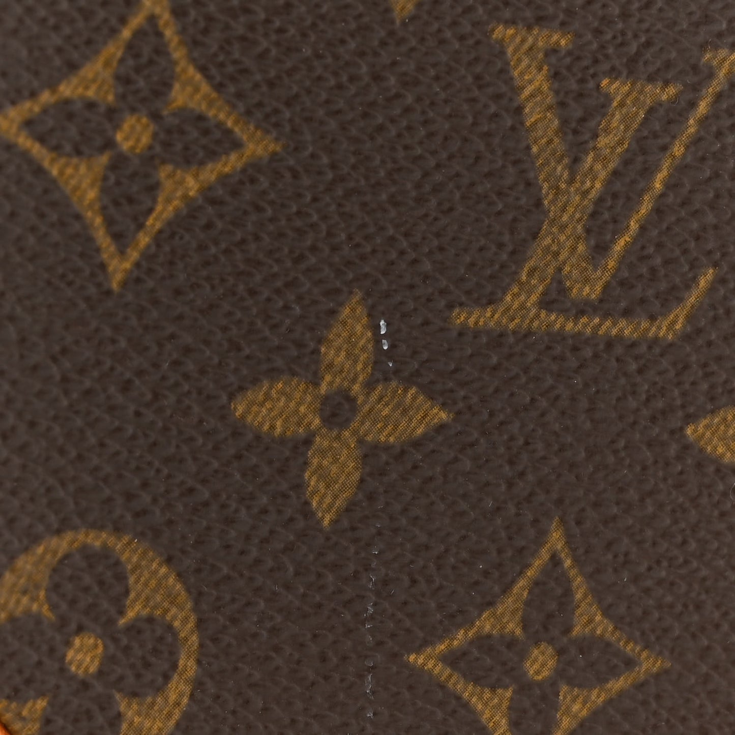 Monogram Papillon 30 with Companion