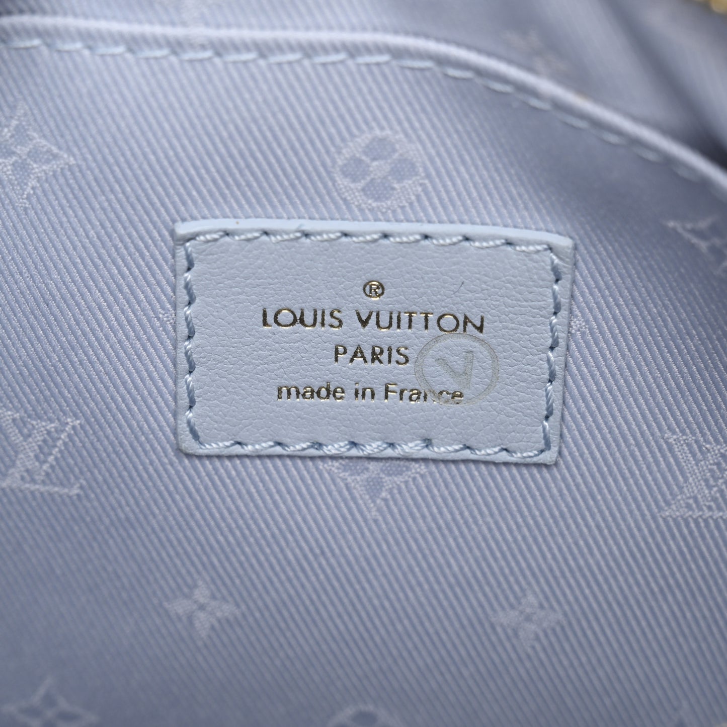 Calfskin Bubblegram Over The Moon Ice Blue