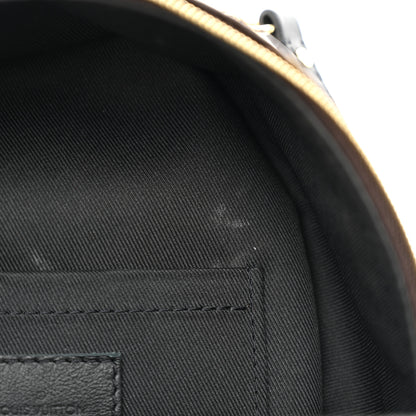 Louis Vuitton Monogram Palm Springs Backpack Mini 13 of 14