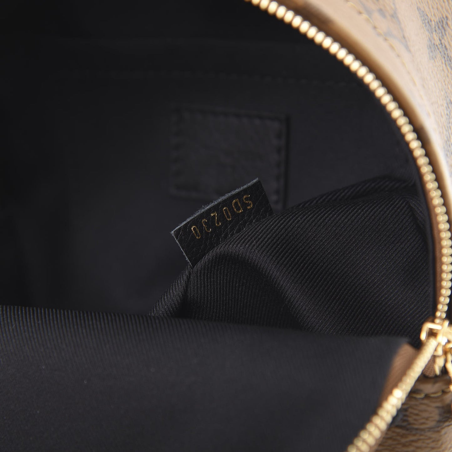 Reverse Monogram Palm Springs Backpack Mini