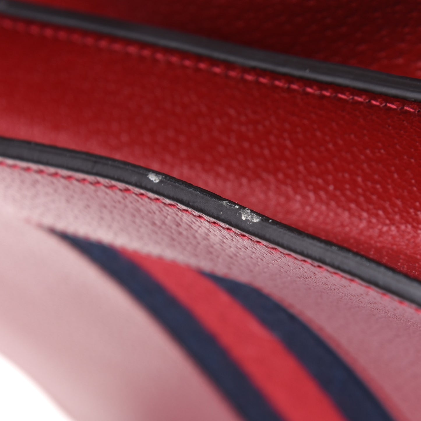Calfskin Web Raccoon Embroidered Medium Dionysus Shoulder Bag Red