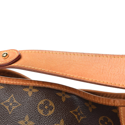 Louis Vuitton Monogram Delightful MM 13 of 14