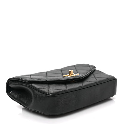 Chanel Calfskin Quilted Flap Waist Bag Black 4 of 8