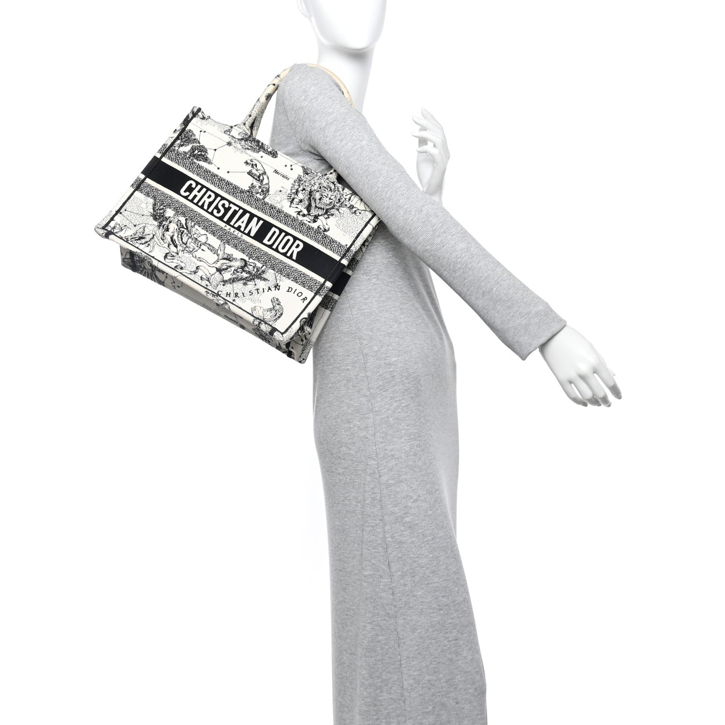 Canvas Zodiac Toile De Jouy Embroidered Medium Book Tote Latte