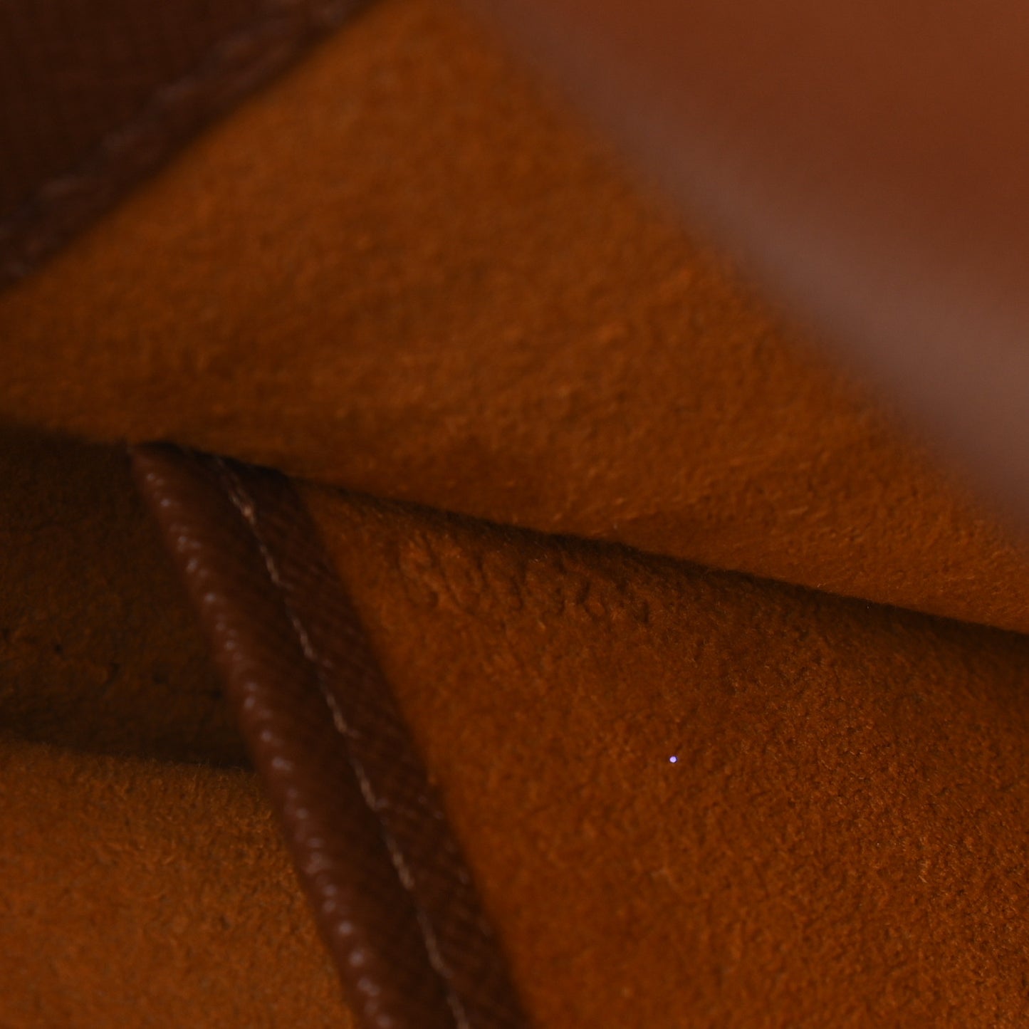 Monogram Musette Salsa