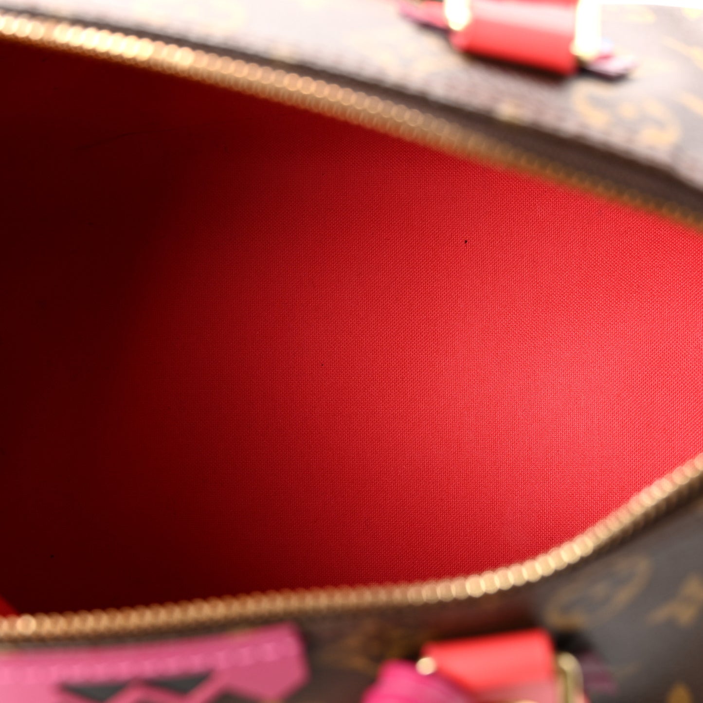 Monogram Totem Speedy 30 Flamingo