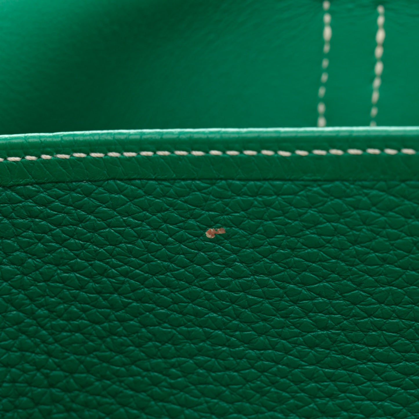 Taurillon Clemence Halzan 31 GM Vert Vertigo