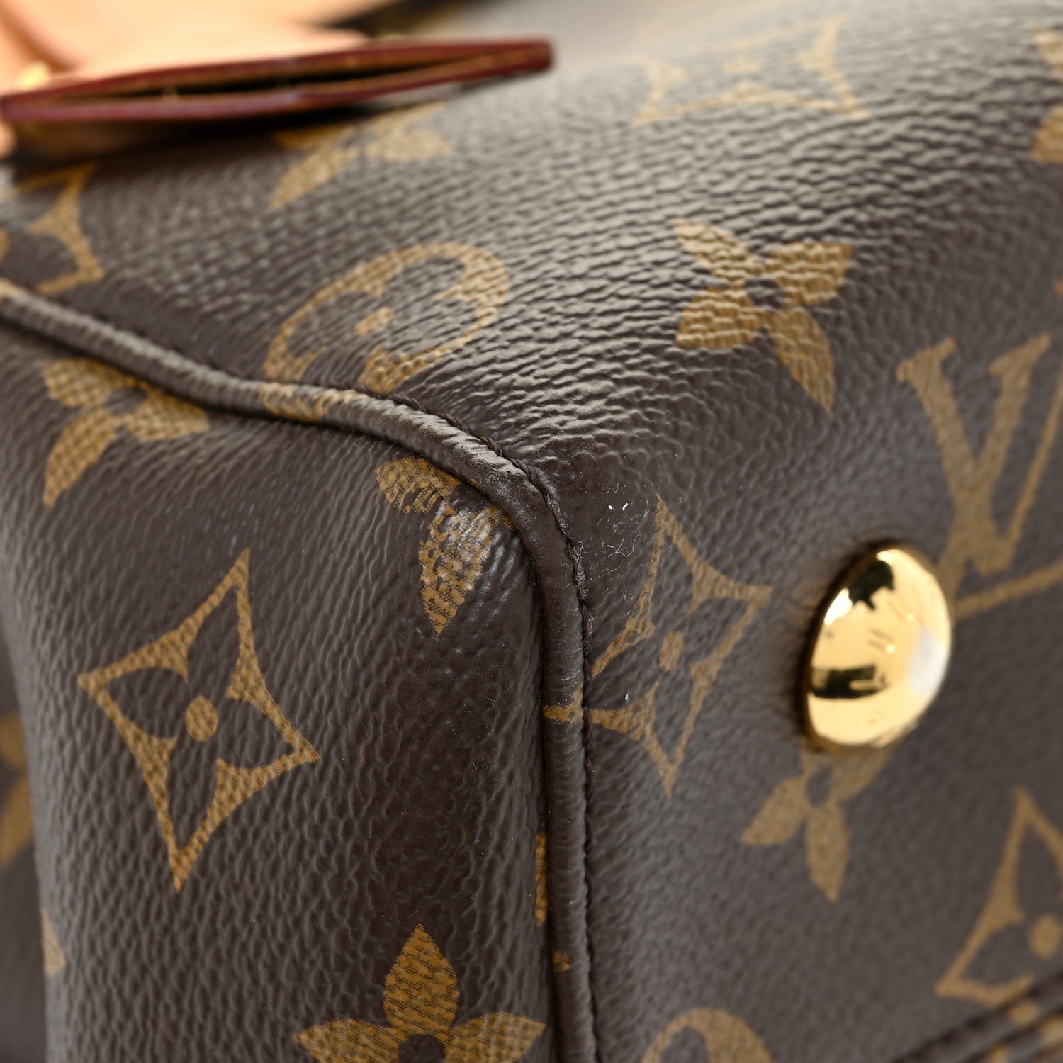 Louis Vuitton Monogram Venus Epice 19 of 34