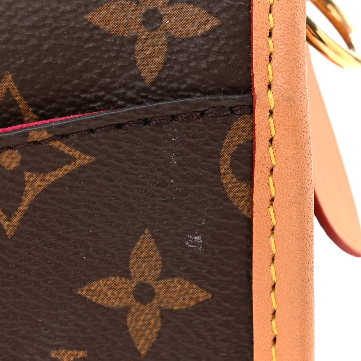 Louis Vuitton Monogram Diane Fuchsia 10 of 10