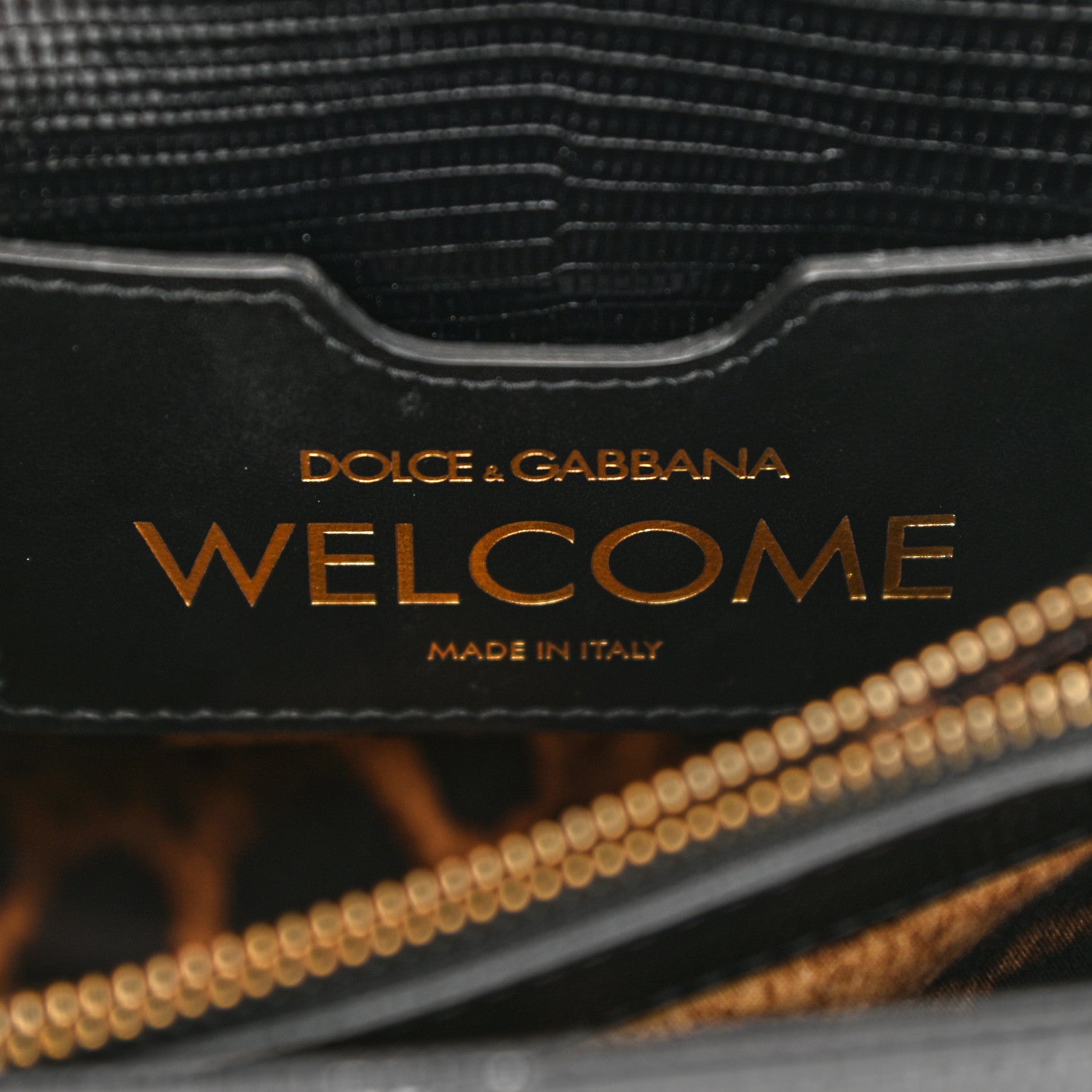 Dolce & Gabbana Iguana Calfskin Embossed Mini Welcome Crossbody Bag Black 10 of 15