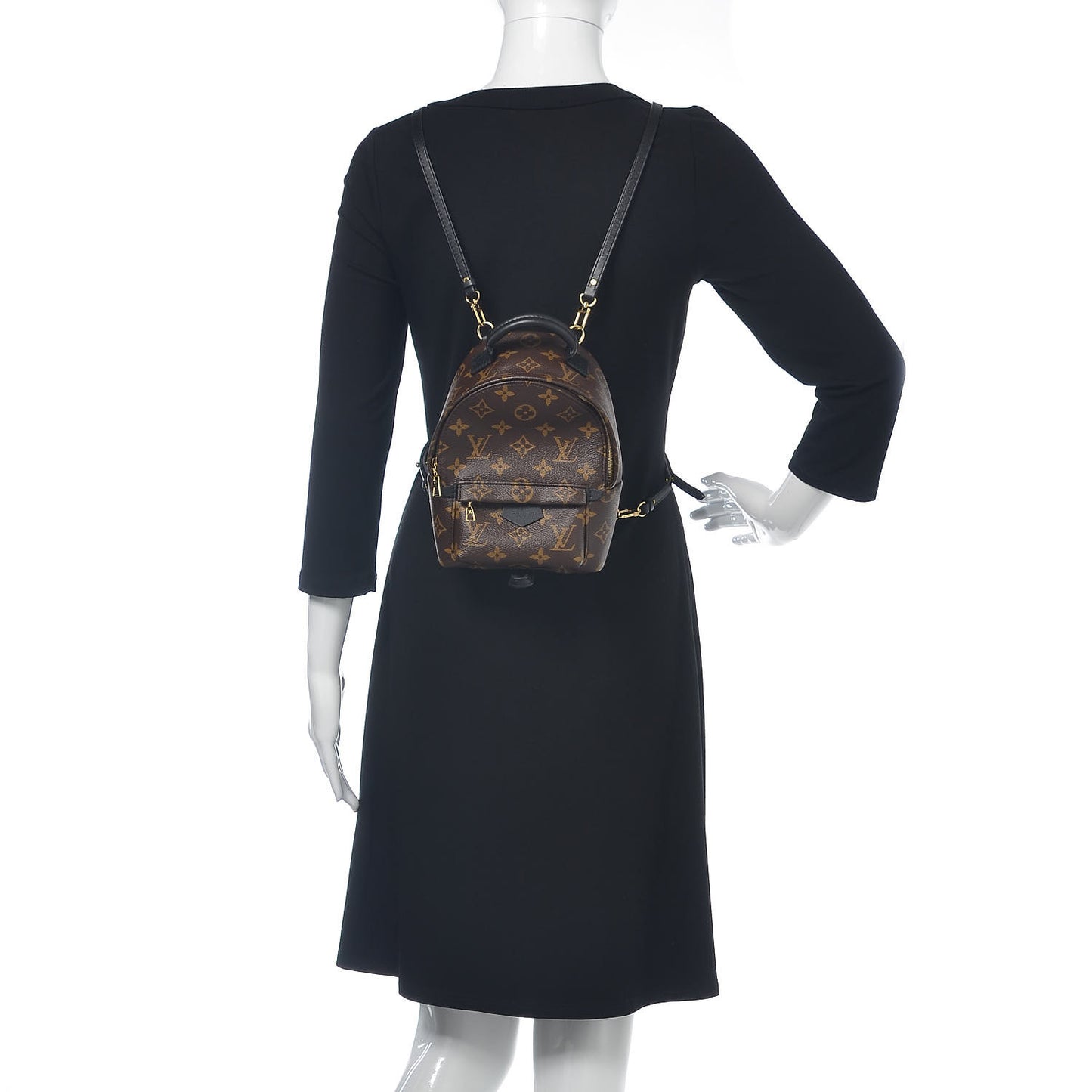 Monogram Palm Springs Backpack Mini