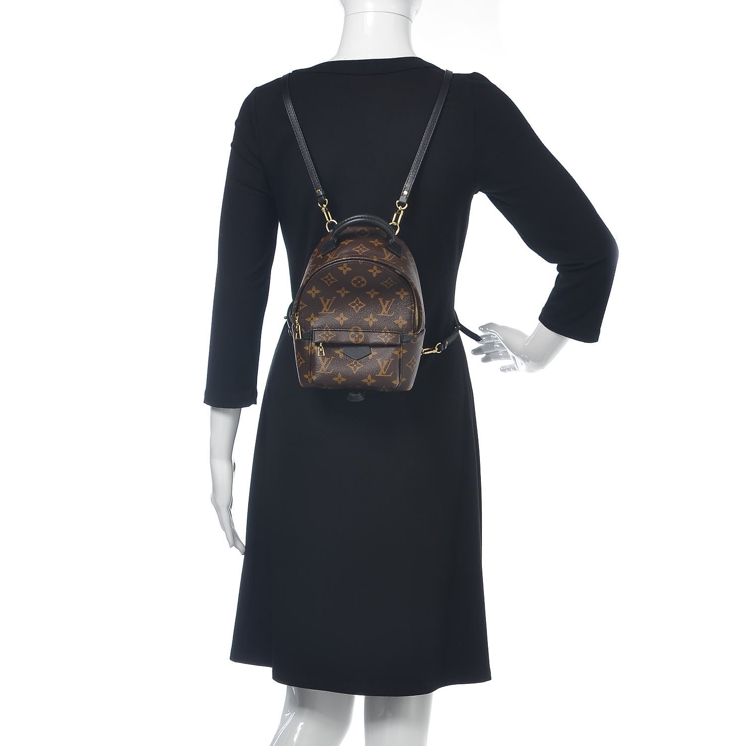 Louis Vuitton Monogram Palm Springs Backpack Mini 2 of 8