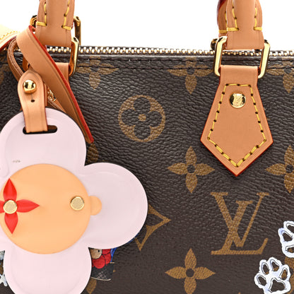 Louis Vuitton Monogram Vivienne Nano Speedy 7 of 9