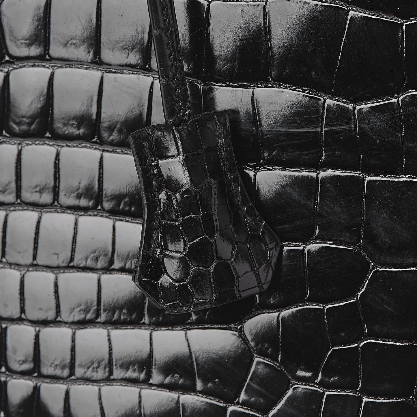 Shiny Porosus Crocodile Birkin 35 Black